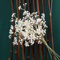 uploads/erp/collection/images/Home Garden/CongDing/XU0611025/img_b/XU0611025_img_b_3